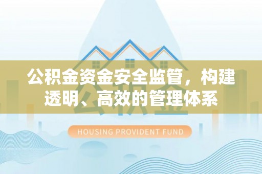 凤阳公积金资金安全监管，构建透明、高效的管理体系