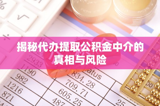 凤阳揭秘代办提取公积金中介的真相与风险