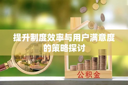 凤阳提升制度效率与用户满意度的策略探讨